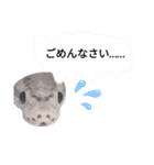 蛇のキャロちゃん達のスタンプ2（個別スタンプ：9）