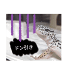 蛇のキャロちゃん達のスタンプ2（個別スタンプ：10）