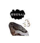 蛇のキャロちゃん達のスタンプ2（個別スタンプ：12）