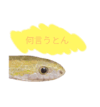蛇のキャロちゃん達のスタンプ2（個別スタンプ：14）