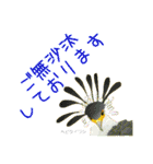 とりさんたちのご挨拶に使える敬語（個別スタンプ：1）