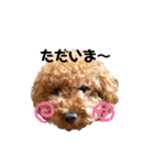 おびび70♡（個別スタンプ：2）