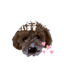 おびび70♡（個別スタンプ：8）
