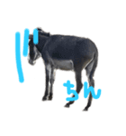 LOVE DONKEY（個別スタンプ：2）