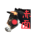 LOVE DONKEY（個別スタンプ：4）