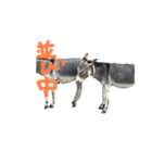 LOVE DONKEY（個別スタンプ：5）