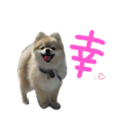 ぼく。うにたろう。〜喜怒哀楽編〜（個別スタンプ：1）