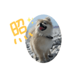 ぼく。うにたろう。〜喜怒哀楽編〜（個別スタンプ：4）