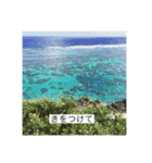 2020あの日の385島（個別スタンプ：8）