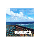 2020あの日の385島（個別スタンプ：13）