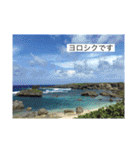 2020あの日の385島（個別スタンプ：16）