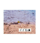 2020あの日の385島（個別スタンプ：19）