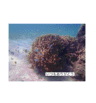 2020あの日の385島（個別スタンプ：21）
