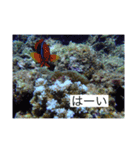 2020あの日の385島（個別スタンプ：24）