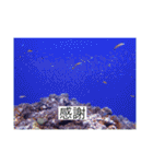2020あの日の385島（個別スタンプ：26）