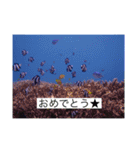 2020あの日の385島（個別スタンプ：35）