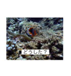 2020あの日の385島（個別スタンプ：39）