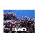 2020あの日の385島（個別スタンプ：40）