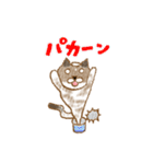 クールでかわいい猫のチャカ 詰め合わせ 1（個別スタンプ：26）