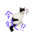 みぃみぃみぃみぃみぃみぃ（個別スタンプ：5）