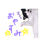 みぃみぃみぃみぃみぃみぃ（個別スタンプ：6）