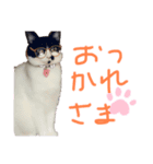 みぃみぃみぃみぃみぃみぃ（個別スタンプ：7）