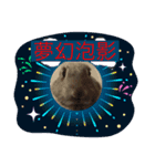 神々しいウサギ（個別スタンプ：2）