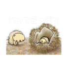 チョビとゆかいなスタンプ①（個別スタンプ：6）