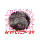 ルパンの気持ち2（個別スタンプ：4）