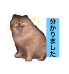 こうちゃんみくちゃん（個別スタンプ：1）