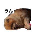 こうちゃんみくちゃん（個別スタンプ：3）