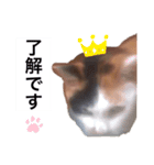 こうちゃんみくちゃん（個別スタンプ：8）