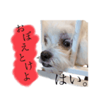 Lu子のキモチ（個別スタンプ：4）