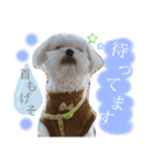 Lu子のキモチ（個別スタンプ：7）