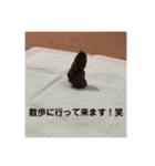 アムちゃんスタンプ（個別スタンプ：4）