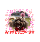 アムちゃんスタンプ（個別スタンプ：6）