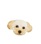 モコス公式スタンプ（個別スタンプ：1）