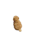 モコス公式スタンプ（個別スタンプ：8）