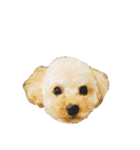 モコス公式スタンプ（個別スタンプ：10）