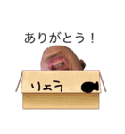 とても環境に優しいスタンプ（個別スタンプ：6）