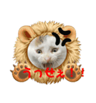 凶暴天使猫 ルーシェ2（個別スタンプ：3）