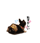 チャッピーチョコラッキー毎日（個別スタンプ：20）