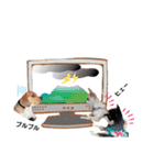 チャッピーチョコラッキー毎日（個別スタンプ：35）