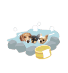チャッピーチョコラッキー毎日（個別スタンプ：37）