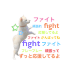 白柴スタンプ【家庭会話編】（個別スタンプ：4）