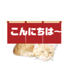 りん太のスタンプ（個別スタンプ：2）