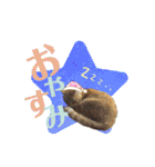 りん太のスタンプ（個別スタンプ：4）