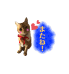 りん太のスタンプ（個別スタンプ：11）