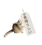 りん太のスタンプ（個別スタンプ：15）