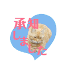 りん太のスタンプ（個別スタンプ：18）
